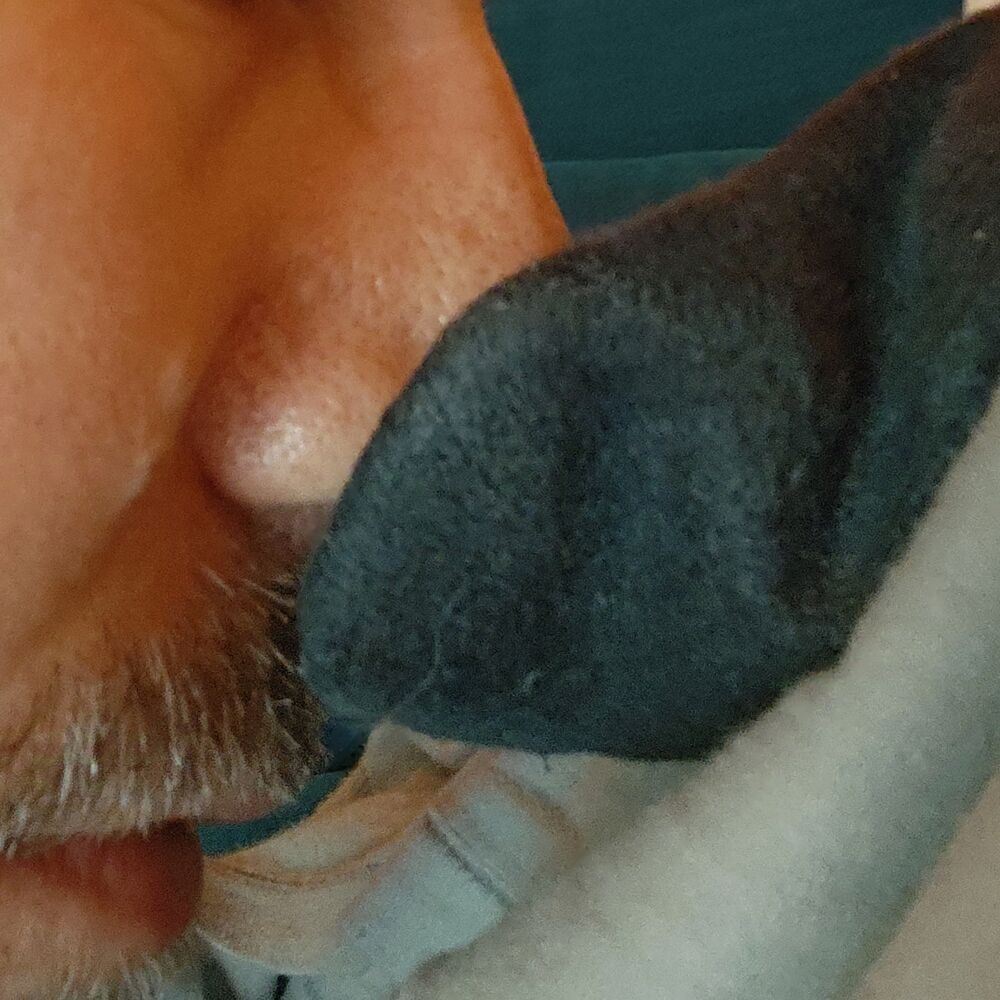 Faphouse