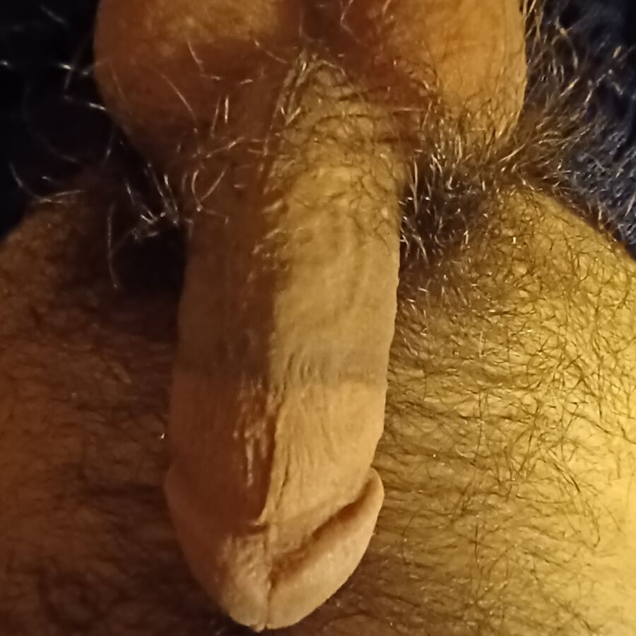 Faphouse