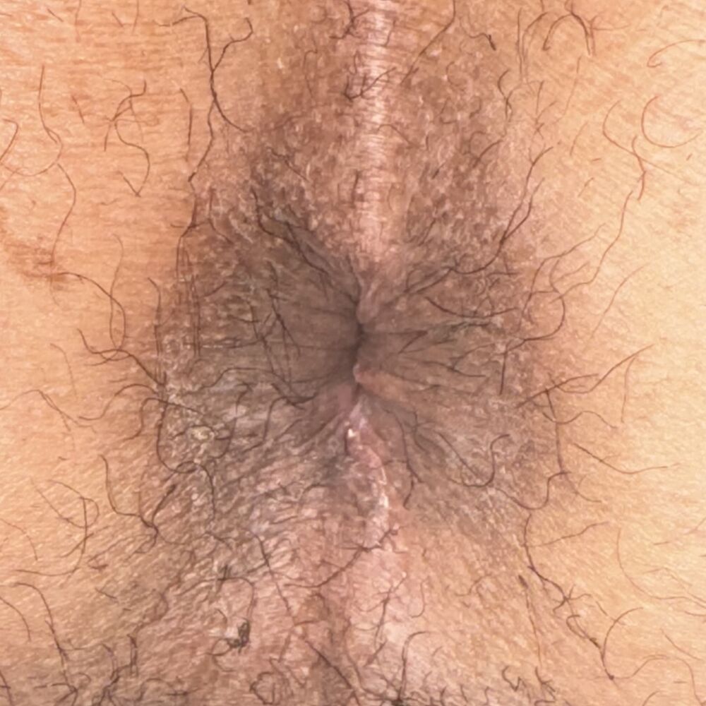 Faphouse
